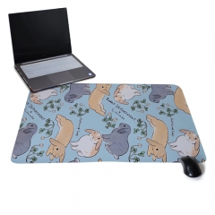 tapis de souris de jeu
